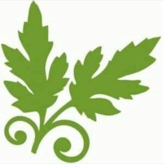 ذا فويس الموسم الخامس  احمد عبد العزيز  مرحلة الصوت وبس مصر الحلقة الخامسة The Voice 2019(128kbps)