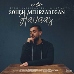 Soheil mehrzadegan havas