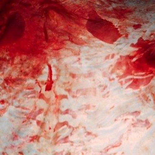 SALEM - KRAWL