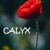 Artwork for Calyx