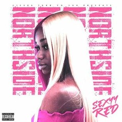 Sexyy Red - Northside Bitch