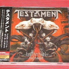 Testament Brotherhood Of The Snake Alternate Mix