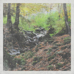 Ambient Nature Tape [Full Album]