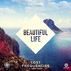 Lost Frequencies - Beautiful Life (Brian Ferris Edit) [DOWNLOAD]