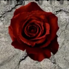 Look At The Sun (Feat. Zaytiggy)