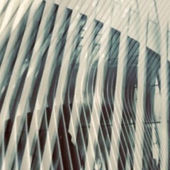 The Oculus
