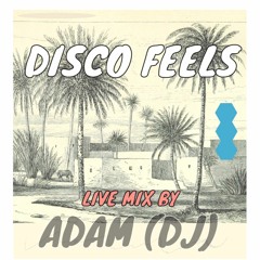 Disco Feels Mix 30 Mins