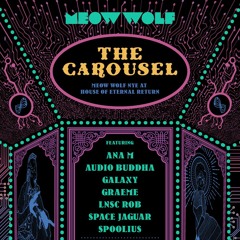 Meow Wolf: The Carousel NYE 2020 - Graeme Byous