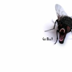 Fly Of Beelzebub but oh god