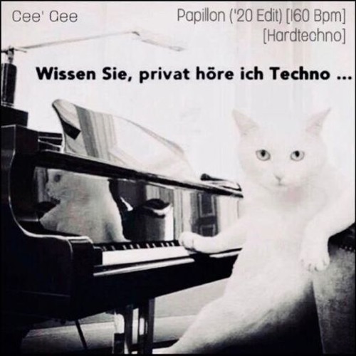 Papillon - (Hardtechno Edit) [160 Bpm]