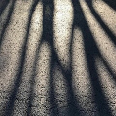 One Tribe - Landscape 1 Featuring Jack Parrish