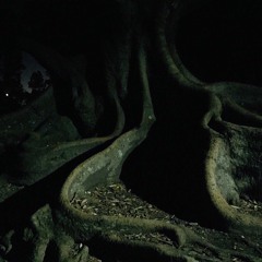 DeKay Mortal - Misguided