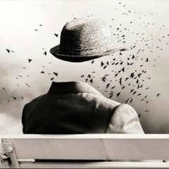 Solitario - Anatomía de la infelicidad inherente al individuo reacio al autoengaño