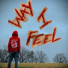 Way I Feel (prod. ThatKidGoran)