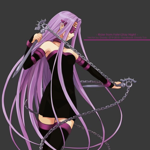 Fate Stay Night Rider Vector