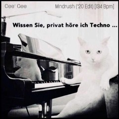 Mindrush - (2020 Techno Edit) [134 Bpm]