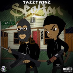 Tazztwinz-Sections