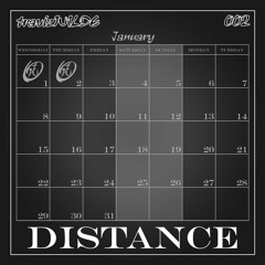 travizWILDE - 002 Distance (Demo for Courtney Bennett)[Taken]