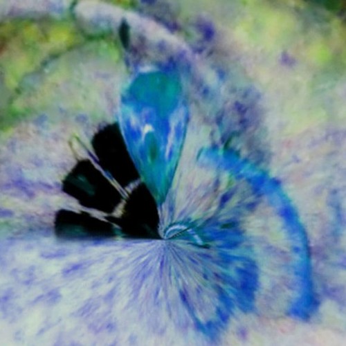 At The Heart of Any Geography (2019 Harvest V/A)