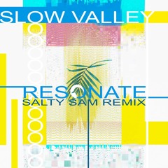 Slow Valley - Resonate (Salty Sam Remix)