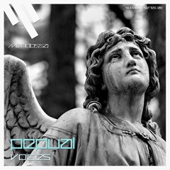 Pepual - Voices [Released by Mendossa Records] (free download)