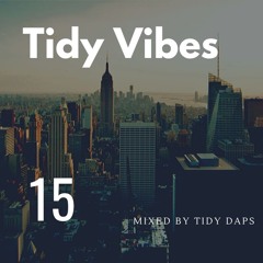 Tidy Vibes Vol. 15