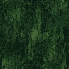 Jungle Fever #SheWorshipBBC (feat. Lil Izzy)