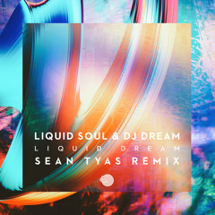 Liquid Soul & DJ Dream - Liquid Dream (Sean Tyas Remix)- Out January 13th!