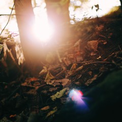 Remus - Find The Light (Anaid Edit)