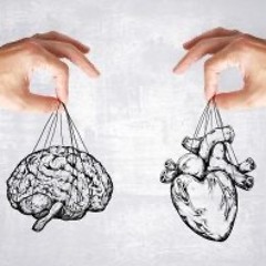 Brain and Heart = Sind manche Menschen geboren, um einsam und alleine zu sein bis sie sterben?