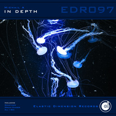 Dream Chaser [Elastic Dimension Records]