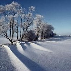 Der Armonische Winter  ( L Inverno armonico )