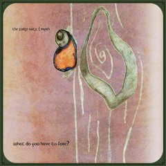 What Do You Have To Lose? - The Fudge Nutz | Myrh