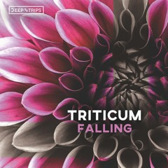 TRITICUM - Falling (Original Mix) | ★OUT NOW★