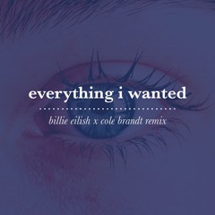 everything i wanted (Billie Eilish remix) - Cole Brandt