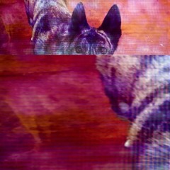 CAN'T SIT ON MY THRONE