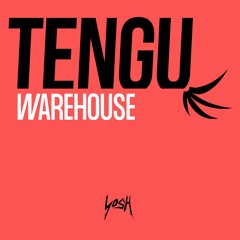 Tengu - Comin' In Tough - 20 tracks for 2020