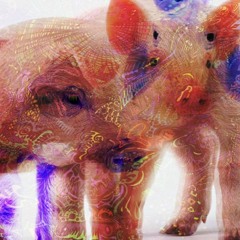DE VARKENS TROMPET