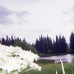 my unforeseen disappearance