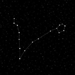 Juntos ★~(◡﹏◕✿)