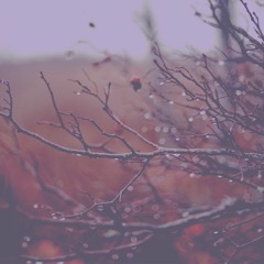 BTS - Let Go Lullaby + Autumn Rain Ver.