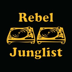 Dj Static Fx - BRING DA HORNZ - Oldschool Jungle