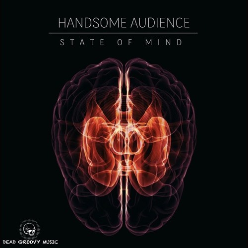 Handsome Audience - The Belly of the Beast (ALESSANDRO ZINGRILLO Remix)