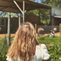 Abóbora Laranja Chocolate