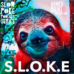 S.L.O.K.E // Slow Poke Session 006 With Ahmed Briki