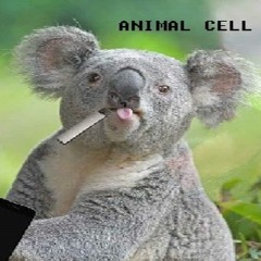 ANIMALCELL