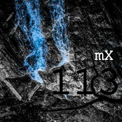 mX113