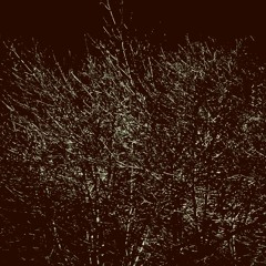 Everything was Song/We never understood