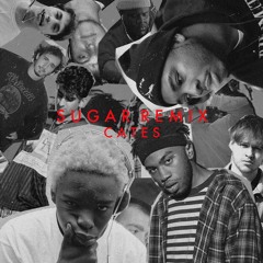 Brockhampton Sugar Remix