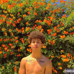 Notice Me [prod. woodpecker]